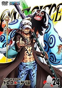 ONE PIECE ワンピース 17THシーズン ドレスローザ編 piece.24 [DVD](中古品)