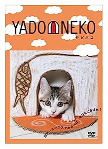 YADONEKO - やどネコ - [DVD](中古品)