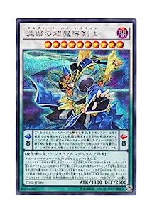 遊戯王 日本語版 TDIL-JP046 Nirvana High Paladin 涅槃の超魔導剣士 (シークレットレア)(中古品)