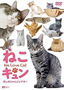 シンフォレストDVD ねこキュン 癒しのにゃんこシアター We Love Cat(中古品)