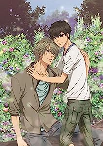 SUPER LOVERS 2第5巻限定版 [DVD](中古品)