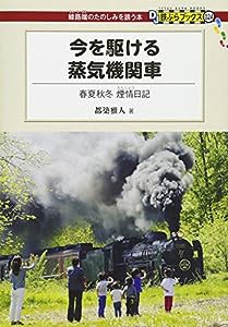 今を駆ける蒸気機関車 - 春夏秋冬 煙情日記 (DJ鉄ぶらブックス024)(中古品)