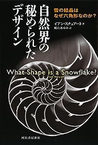 自然界の秘められたデザイン: 雪の結晶はなぜ六角形なのか?(中古品)