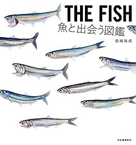 THE FISH 魚と出会う図鑑(中古品)