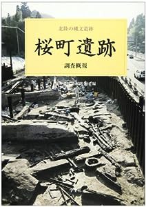 桜町遺跡調査概報―北陸の縄文遺跡(中古品)