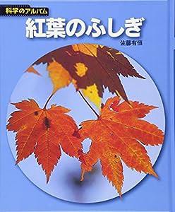 紅葉のふしぎ (科学のアルバム)(中古品)