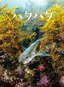 ハタハタ: 荒海にかがやく命(中古品)