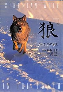 狼―シベリアの牙王(中古品)