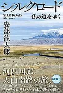 シルクロード 仏の道をゆく(中古品)