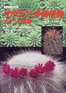 サボテン・多肉植物ポケット事典(中古品)