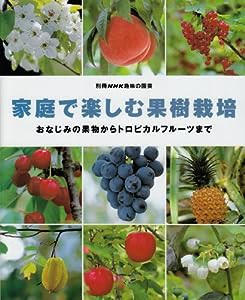 家庭で楽しむ果樹栽培―おなじみの果物からトロピカルフルーツまで (別冊NHK趣味の園芸)(中古品)