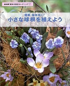 簡単・毎年咲く!小さな球根を植えよう (NHK趣味の園芸ガーデニング21)(中古品)