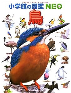 小学館の図鑑NEO 鳥(中古品)