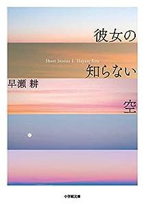 彼女の知らない空 (小学館文庫)(中古品)