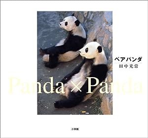 ペア・パンダ(中古品)