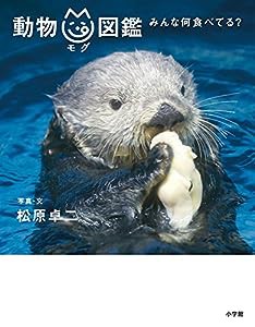 動物mg図鑑: みんな何食べてる?(中古品)