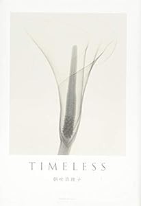 TIMELESS(中古品)