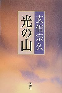 光の山(中古品)