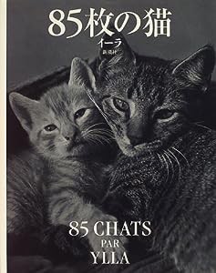 85枚の猫(中古品)