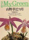 山野草12カ月—人気183種と管理のコツ (New My Green)(中古品)