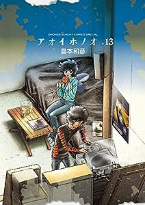 アオイホノオ (13) (少年サンデーコミックススペシャル)(中古品)