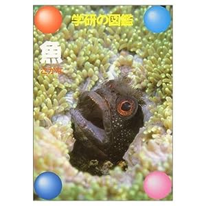 魚 (学研の図鑑)(中古品)