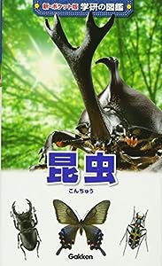 昆虫 (新ポケット版 学研の図鑑)(中古品)