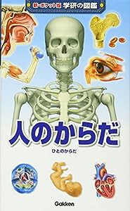 人のからだ (新ポケット版 学研の図鑑)(中古品)