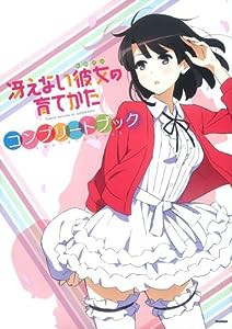 冴えない彼女の育てかたコンプリートブック(中古品)