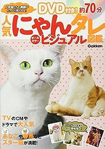 人気にゃんタレ ビジュアル図鑑(中古品)