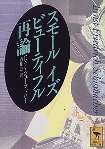 スモール イズ ビューティフル再論 (講談社学術文庫)(中古品)