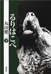 るりはこべ〈下〉(中古品)