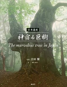 日本遺産 神宿る巨樹 The marvelous trees in Japan(中古品)