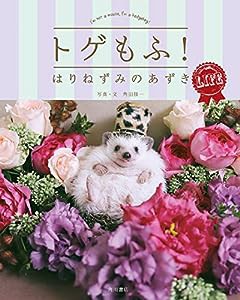 トゲもふ! はりねずみのあずき LIFE(中古品)