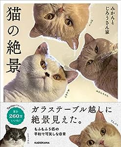 猫の絶景(中古品)