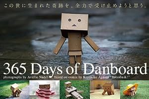 365 Days of Danboard(中古品)