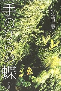 手のひらの蝶(中古品)