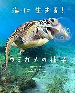 海に生きる！ ウミガメの花子(中古品)