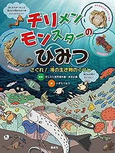 チリメンモンスターのひみつ さぐれ! 海の生き物のくらし(中古品)