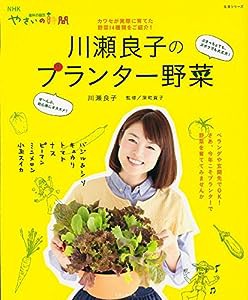 川瀬良子のプランター野菜 (生活シリーズ NHK趣味の園芸やさいの時間)(中古品)