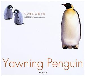 ペンギンのあくび(中古品)