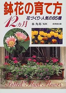 鉢花の育て方12ヵ月―花づくり・人気の85種(中古品)