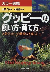 グッピーの飼い方・育て方—人気グッピーの繁殖法を楽しむ(中古品)