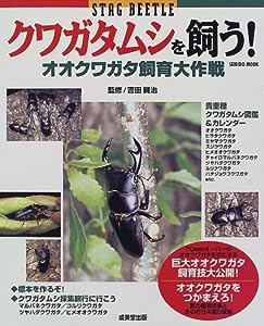 クワガタムシを飼う!―オオクワガタ飼育大作戦 (SEIBIDO MOOK)(中古品)