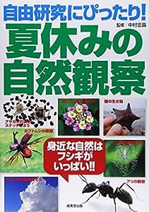 自由研究にぴったり!夏休みの自然観察―身近な自然はフシギがいっぱい!!(中古品)