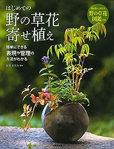 はじめての野の草花寄せ植え(中古品)