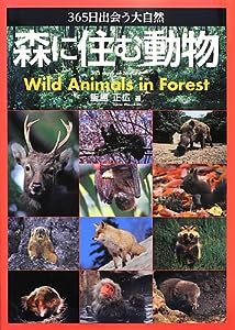 365日出会う大自然 森に住む動物(中古品)