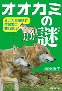 オオカミの謎: オオカミ復活で、生態系は変わる!?(中古品)