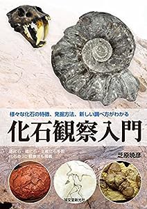 化石観察入門: 様々な化石の特徴、発掘方法、新しい調べ方がわかる(中古品)