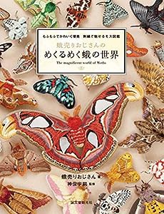 蛾売りおじさんのめくるめく蛾の世界(中古品)